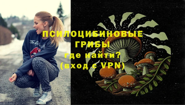 бутират Алзамай