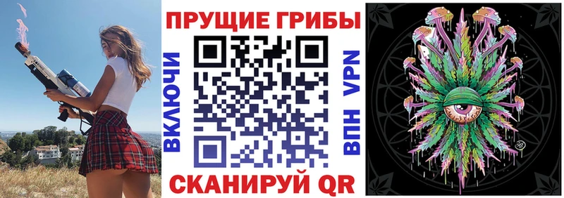 кракен ссылки  Аргун  Псилоцибиновые грибы GOLDEN TEACHER  продажа наркотиков 