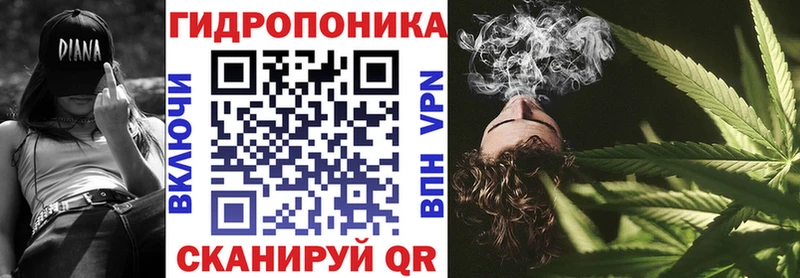 где купить наркотик  Аргун  Бошки марихуана семена 
